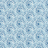 Kasmir Graphic Rose Spa Fabric