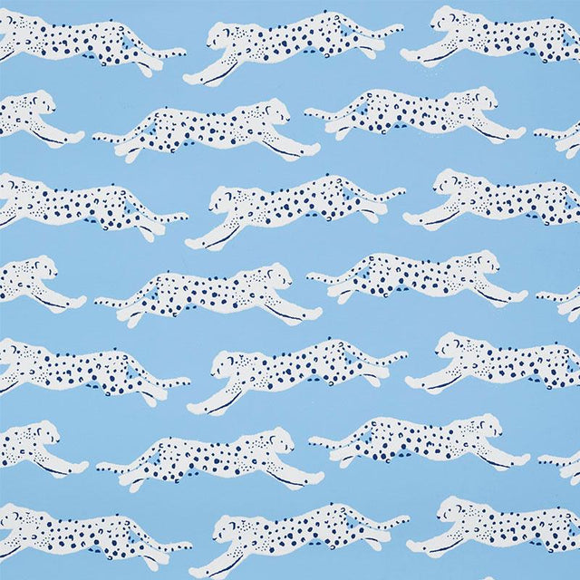 Schumacher Leaping Leopards Sky Wallpaper