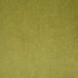 Pindler VOLTAIRE OLIVE Fabric