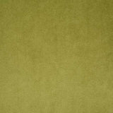 Pindler VOLTAIRE OLIVE Fabric
