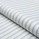 Schumacher Birdie Ticking Stripe China Blue Fabric