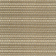 Kasmir Hot To Trot Platinum Fabric