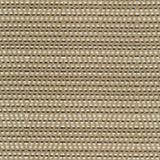 Kasmir Hot To Trot Platinum Fabric