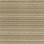 Kasmir Hot To Trot Platinum Fabric