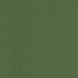 Kasmir Hypnotic Pine Fabric
