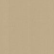 Kasmir Hypnotic Wheat Fabric