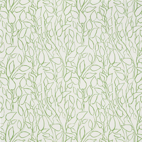Schumacher Solandra Vine Leaf Fabric