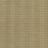 Kasmir In Flux Linen Fabric