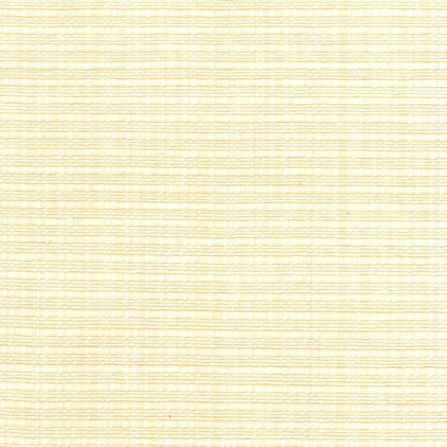 Kasmir In Flux Natural Fabric