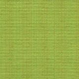 Kasmir In Flux Snow Pea Fabric