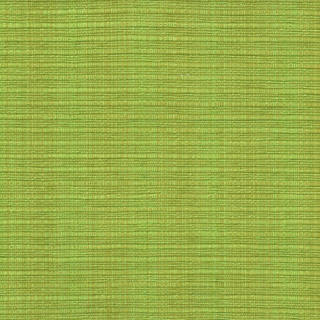 Kasmir In Flux Snow Pea Fabric