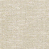 Kasmir Ipanema Oyster Fabric