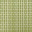 Gaston Y Daniela TIANA VERDE Upholstery Fabric