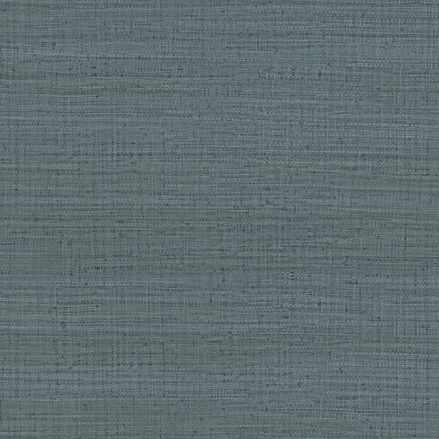 Gaston Y Daniela AYLLON AZUL PLOMO Wallpaper