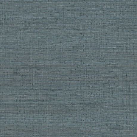 Gaston Y Daniela AYLLON AZUL PLOMO Wallpaper