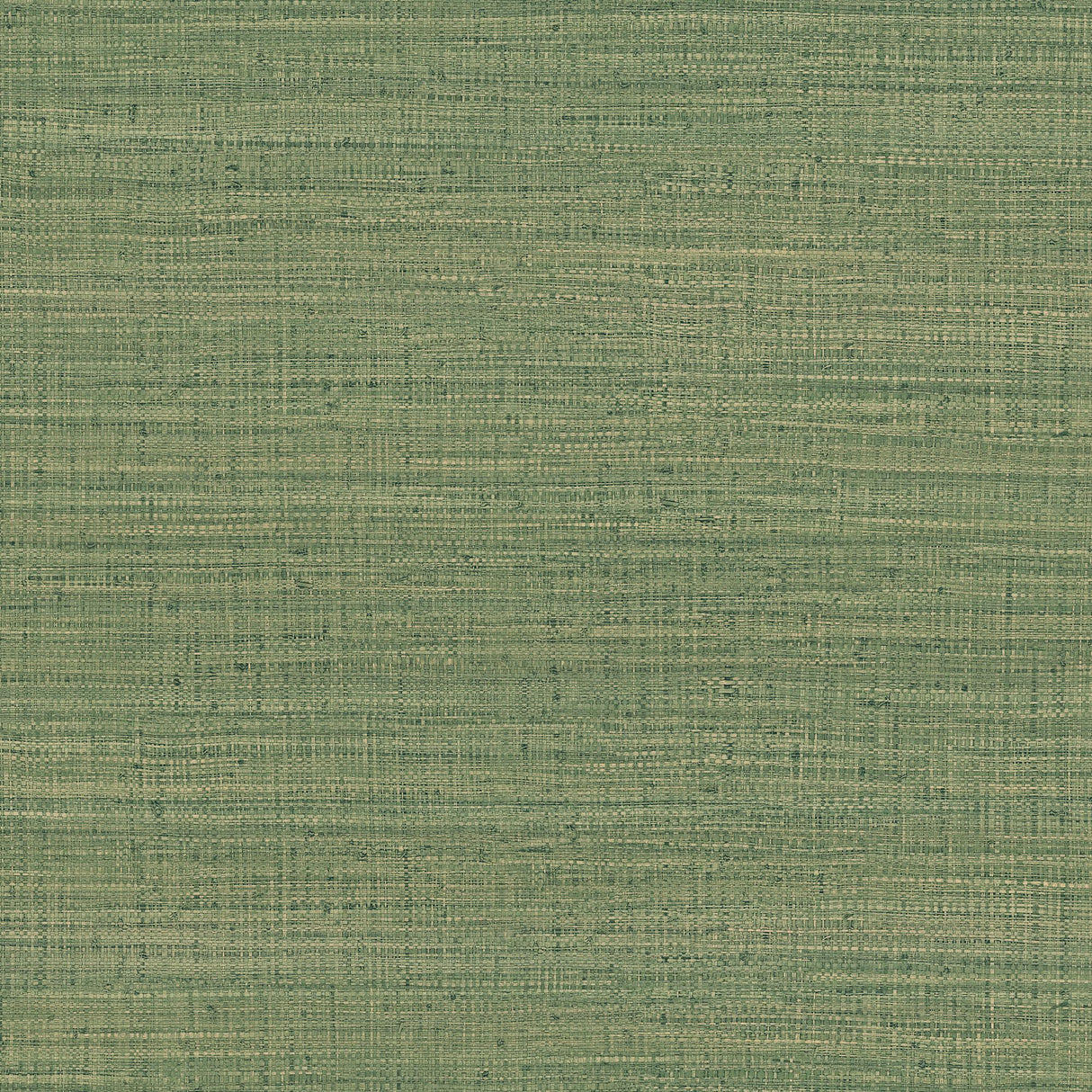 Gaston Y Daniela AYLLON VERDE Wallpaper