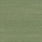 Gaston Y Daniela AYLLON VERDE Wallpaper