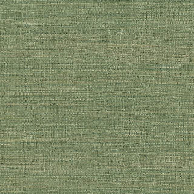 Gaston Y Daniela AYLLON VERDE Wallpaper