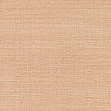 Gaston Y Daniela AYLLON NARANJA Wallpaper