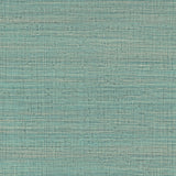 Gaston Y Daniela AYLLON TURQUESA Wallpaper