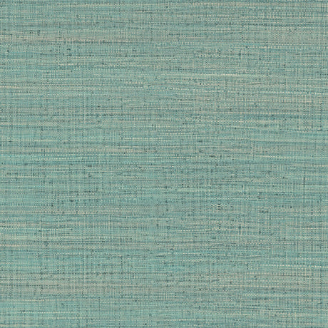 Gaston Y Daniela AYLLON TURQUESA Wallpaper
