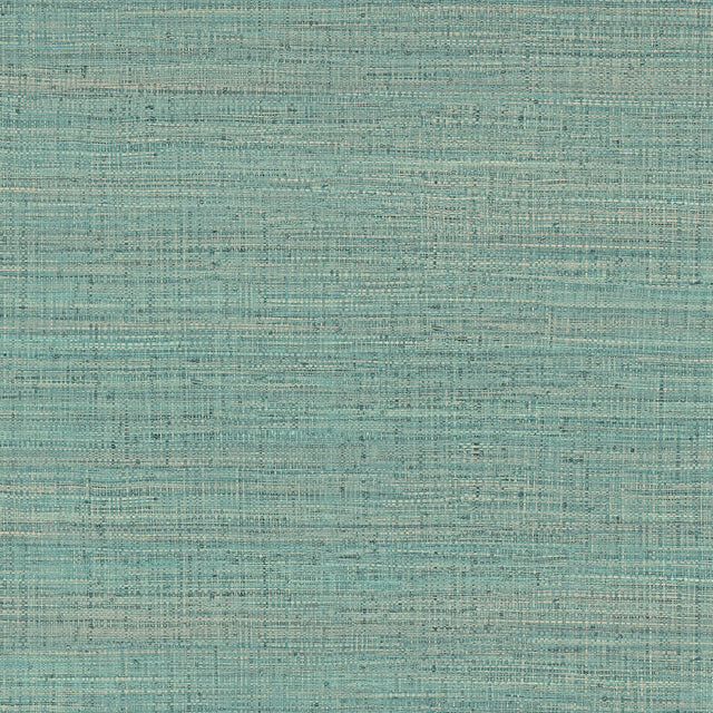 Gaston Y Daniela AYLLON TURQUESA Wallpaper