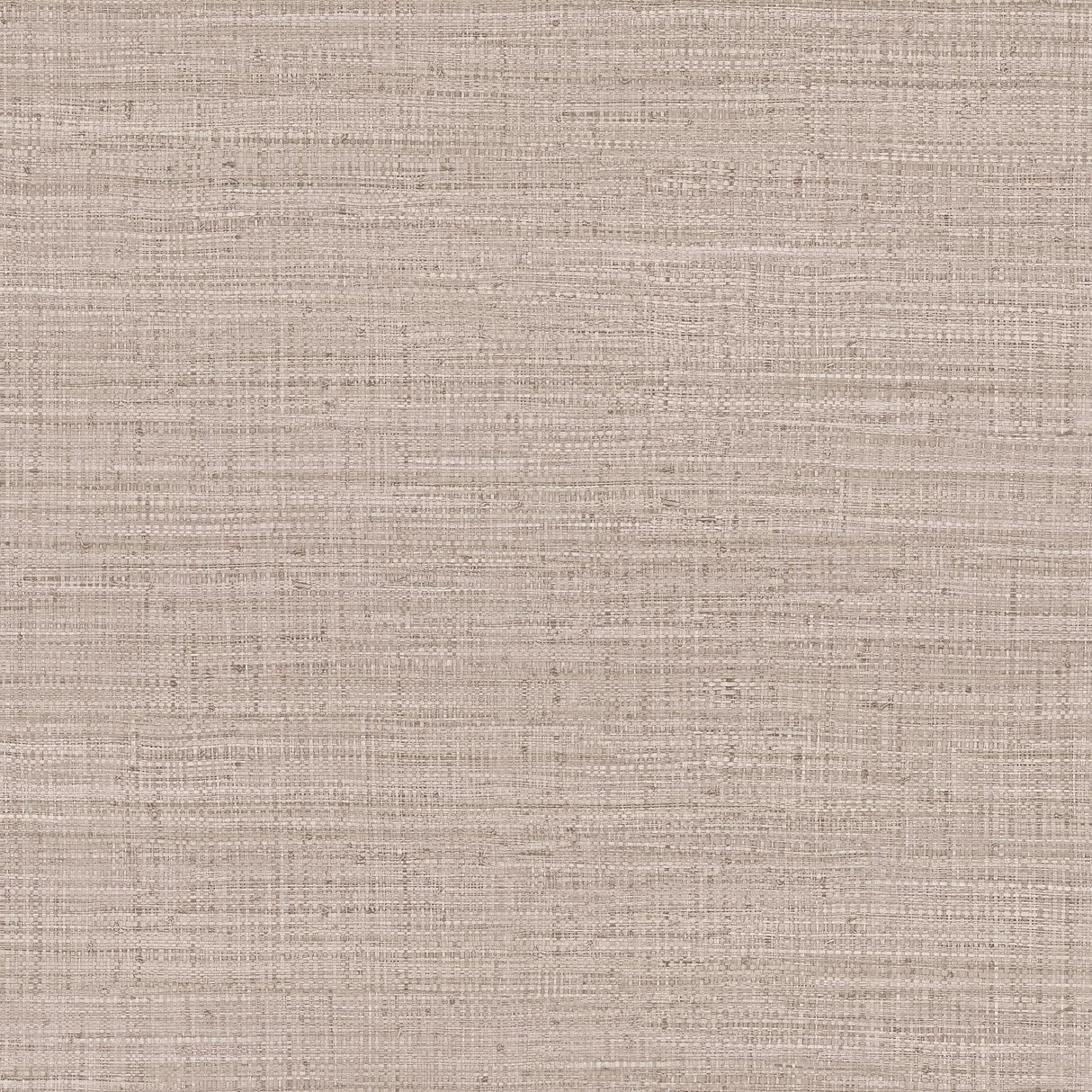 Gaston Y Daniela AYLLON ROSACEO Wallpaper