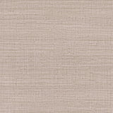 Gaston Y Daniela AYLLON ROSACEO Wallpaper