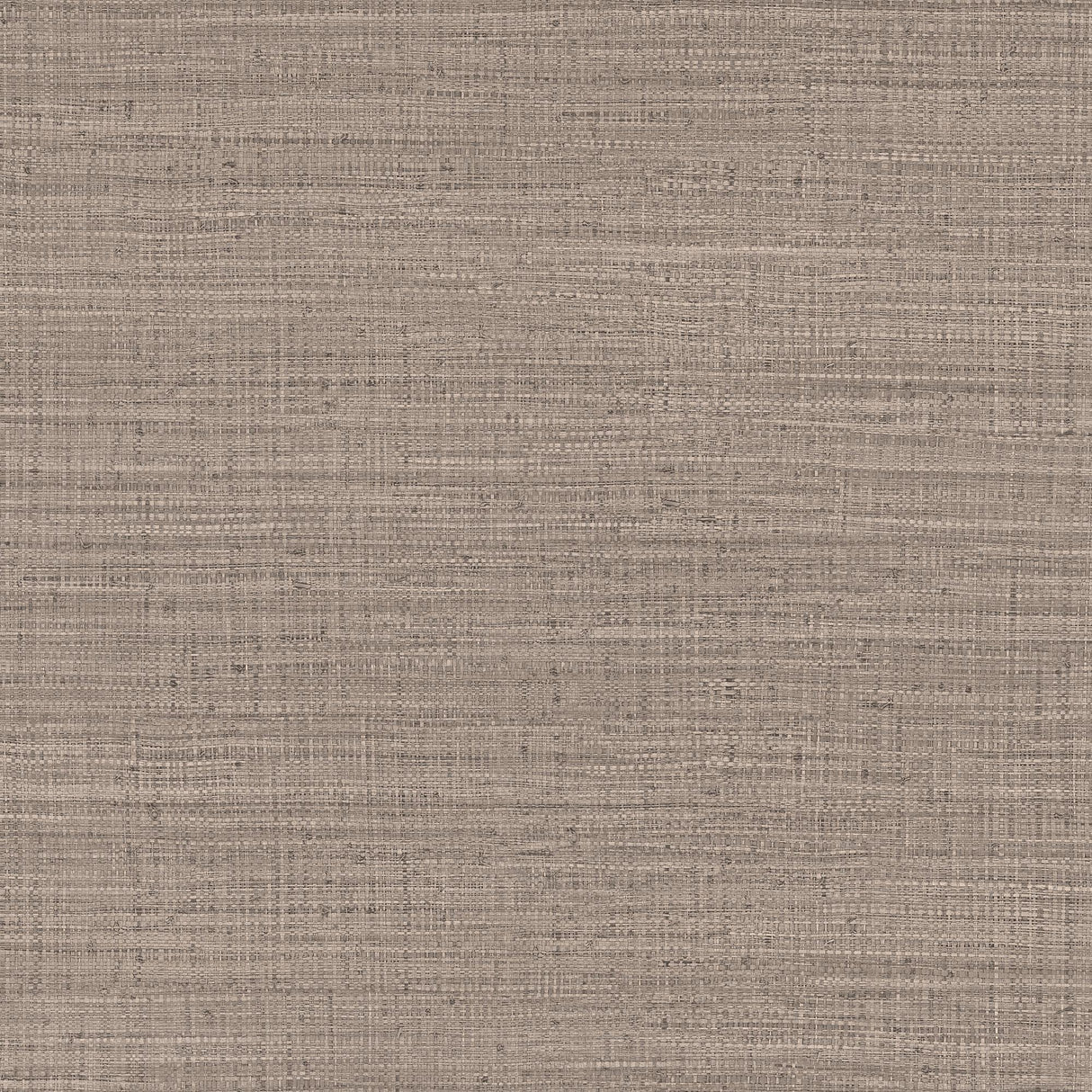 Gaston Y Daniela AYLLON BEIGE Wallpaper