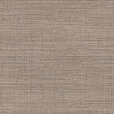 Gaston Y Daniela AYLLON BEIGE Wallpaper