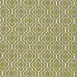 Kasmir Jaya Sprout Fabric