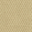 Kasmir Jetsetter Earth Fabric