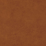 Baker Lifestyle LEXHAM AMBER Upholstery Fabric