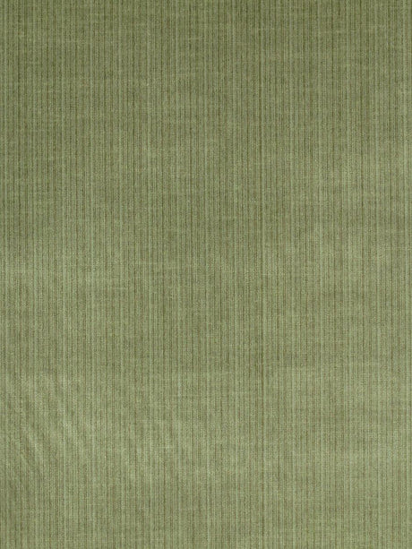 Scalamandre Strie Amboise Sage Fabric