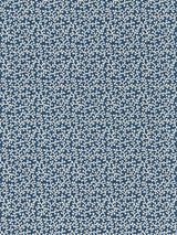 Scalamandre Hele Bay Cobalt Fabric