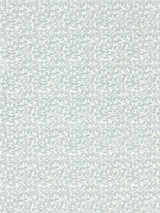 Scalamandre Hele Bay Powder Blue Fabric