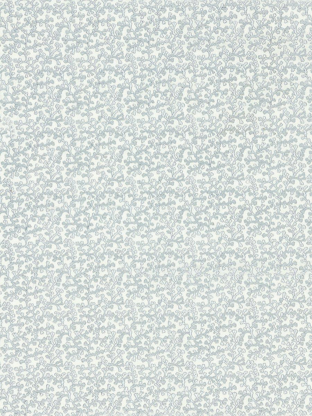 Scalamandre Hele Bay Powder Blue Fabric