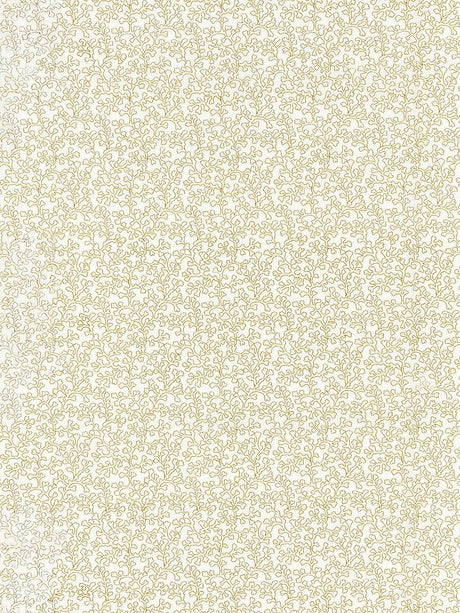 Scalamandre Hele Bay Ivory Fabric