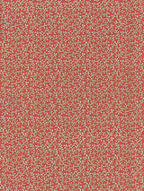 Scalamandre Hele Bay Coral Fabric