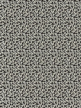 Scalamandre Hele Bay Black Fabric