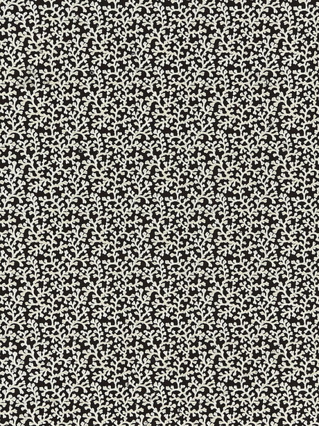 Scalamandre Hele Bay Black Fabric