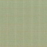 Kasmir Keheley Thyme Fabric