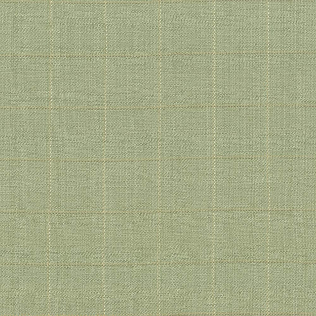 Kasmir Keheley Thyme Fabric