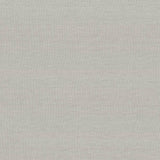 Kasmir Kilkenny Silver Fabric