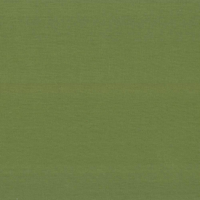 Kasmir Kilkenny Snow Pea Fabric