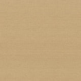 Kasmir Kilkenny Straw Fabric