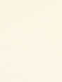 Scalamandre Fidiara Boucle Cream Fabric