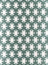 Scalamandre Misterioso Mint Fabric