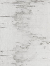 Scalamandre Polar Bear Greige Fabric
