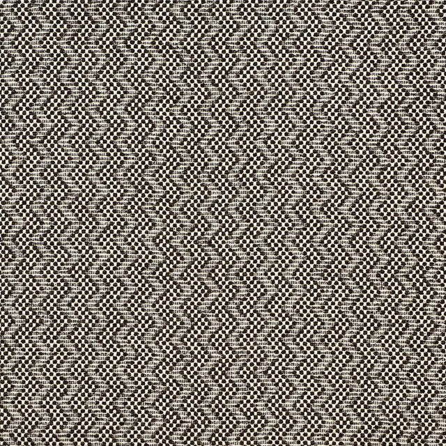 Schumacher Audley Carbon Fabric